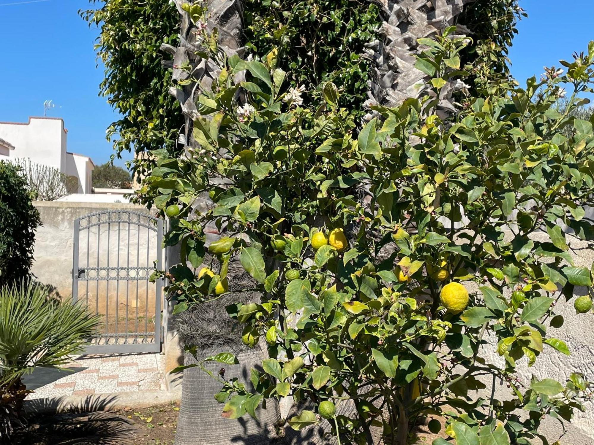 Villa Silvana Mazara del Vallo Exterior foto
